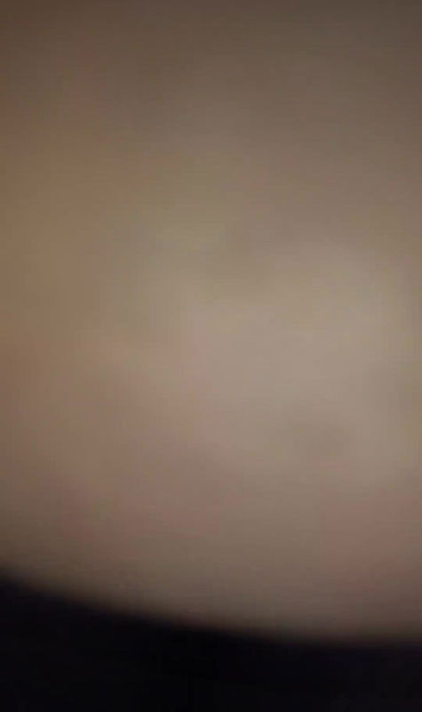 Wife’s delicious pussy juice