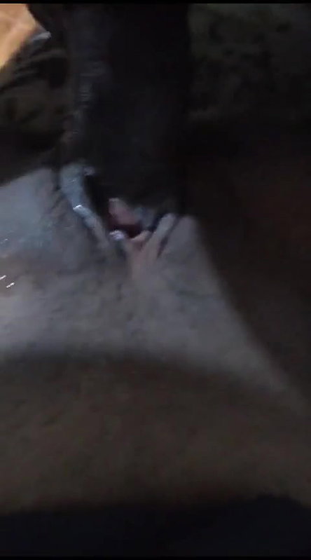 Chennai wife blowjob and pussy fuck in Tamil sex