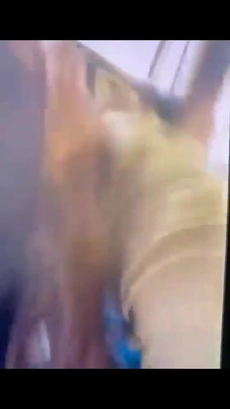 sexy GF handjob and desi blowjob inside car