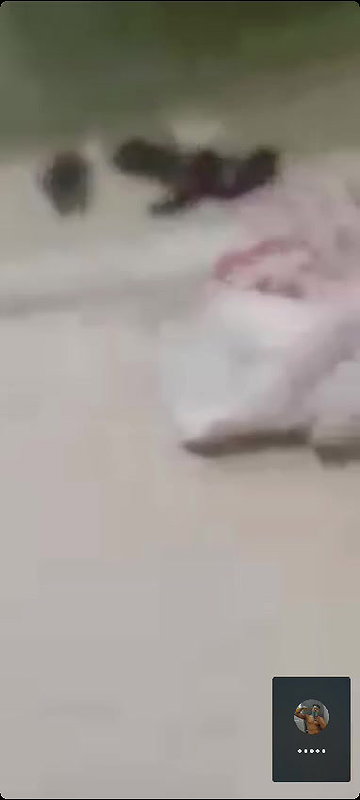 viral Indian mature slut handling customer dick