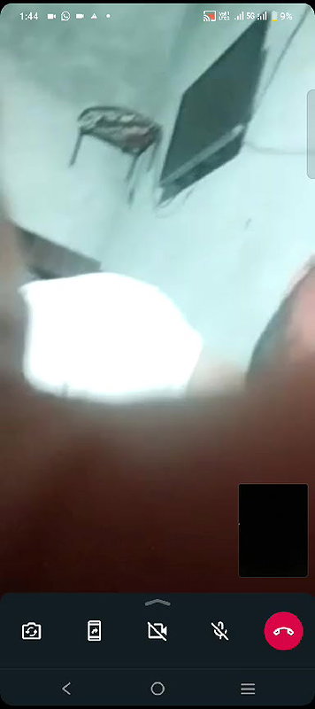 couple live sex with viral WhatsApp video call