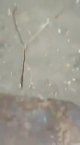 Tamil randi aunty ko group mein pela