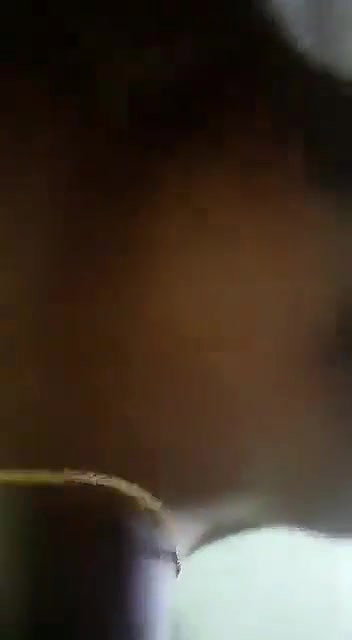 Tamil girl sex riding boyfriend dick with moans