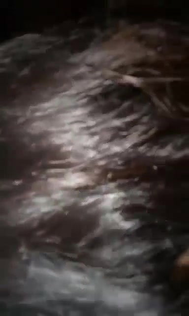 horny Indian girl blowjob to lover viral sex