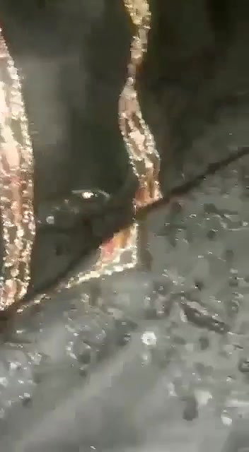 Pakistani sex riding dick GF viral sex with lover