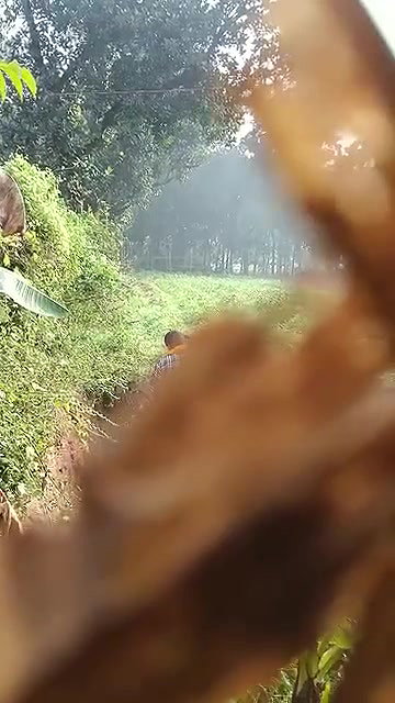 hidden cam outdoor sex of village couple