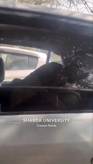 Noida University girl outdoor sex in car