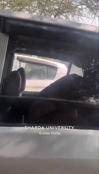Noida University girl outdoor sex in car