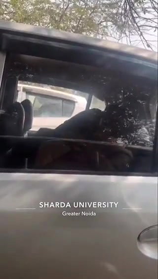 Noida University girl outdoor sex in car