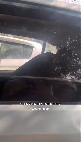 Noida University girl outdoor sex in car