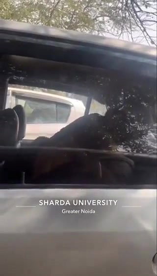 Noida University girl outdoor sex in car