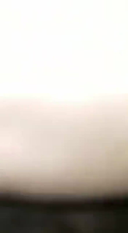 desi blowjob gay sucking shemale dick and balls