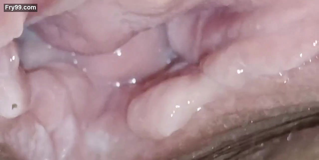 Indian Desi Hot Pussy