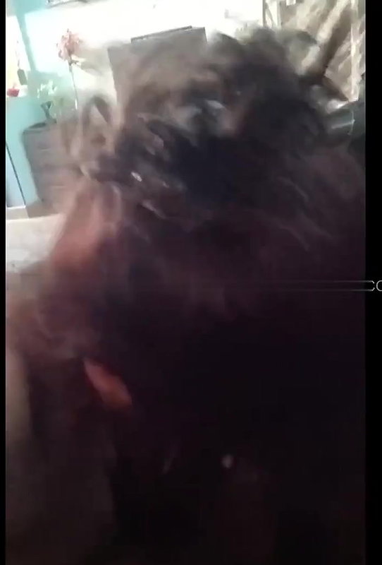 beautiful wife boob fucking and viral desi blowjob