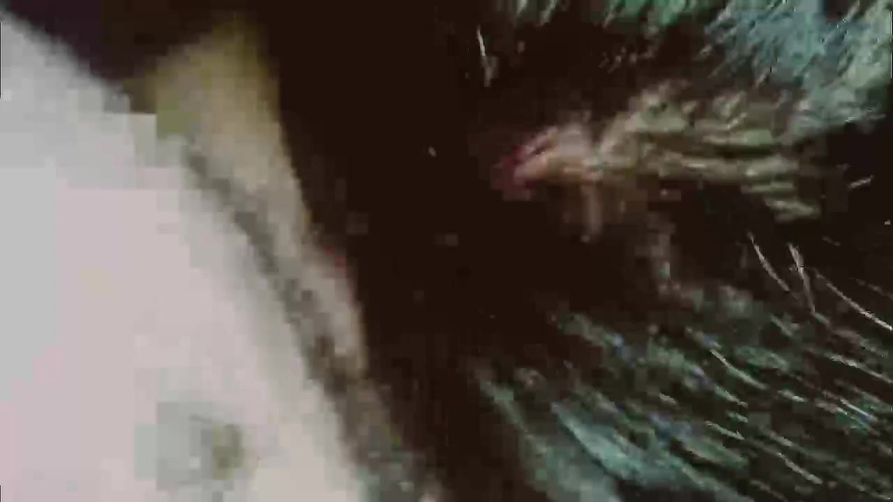 horny Lathika bhabhi sex with Devar viral videos