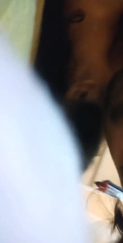 young desi lovers sex viral selfie video