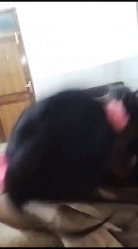 Big boob GF tasting dick of lover first time