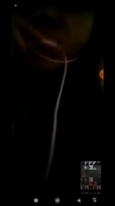 GF exposing nude body curves on selfie cam