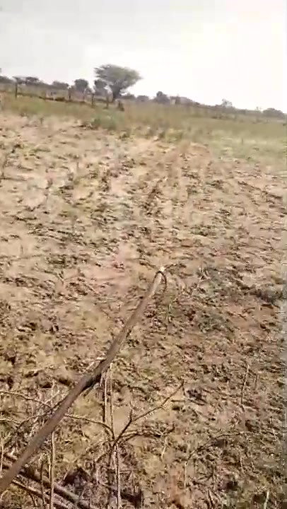 hornycouple20000 Stripchat