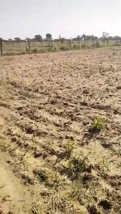 hornycouple20000 Stripchat