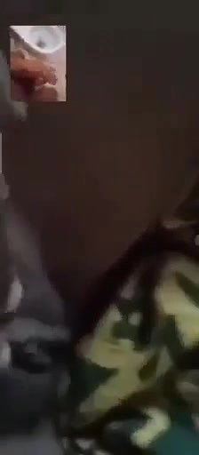 cute girl boobs show on viral video call to lover