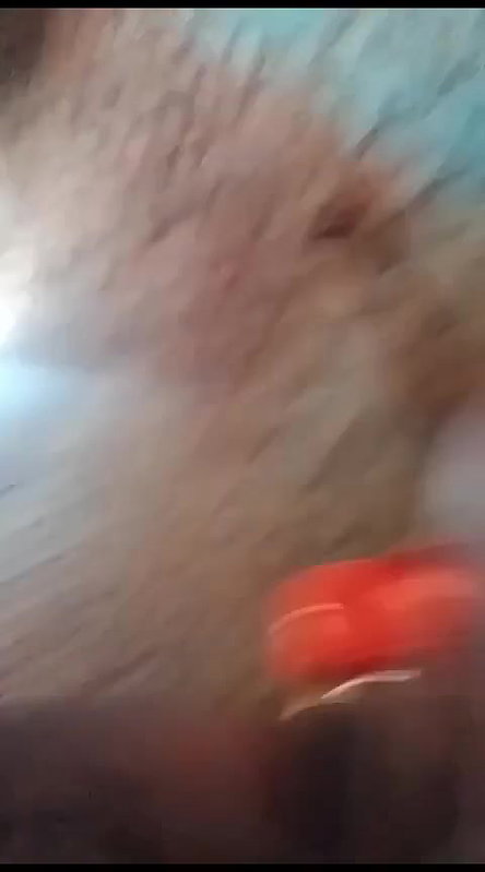 village pussy bhabhi sex with Devar viral xxx