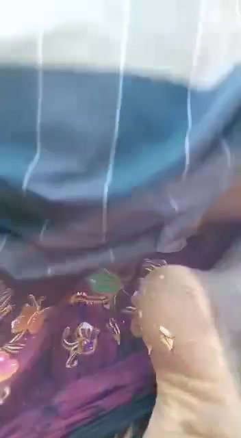desi randi group sex with local guys viral outdoor
