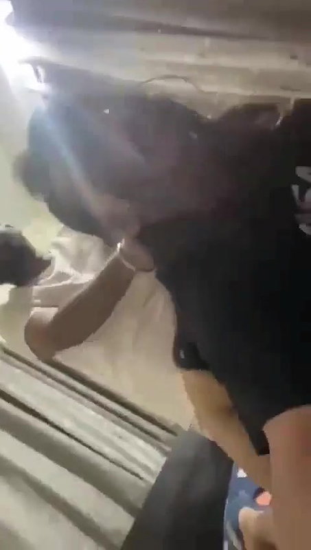 gf ko ghodi abnake choda