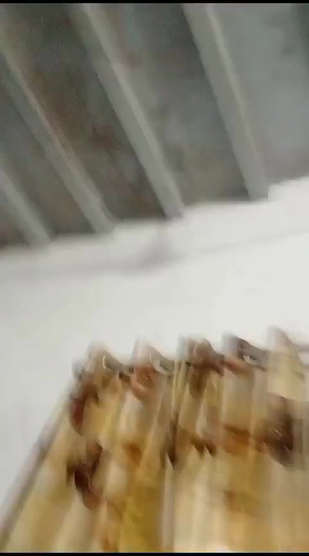village sex bhabhi hairy pussy fucking viral MMS