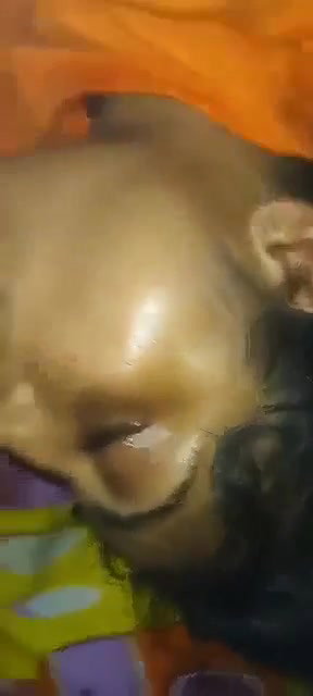 bhabhi blowjob to devar with viral boobs show