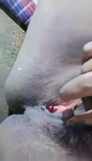 dirty talking bhabhi showing big boobs and pussy