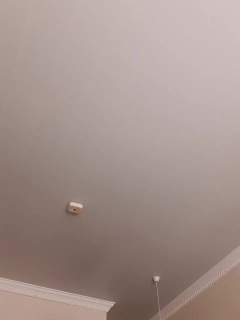 dirtysnowball69 1