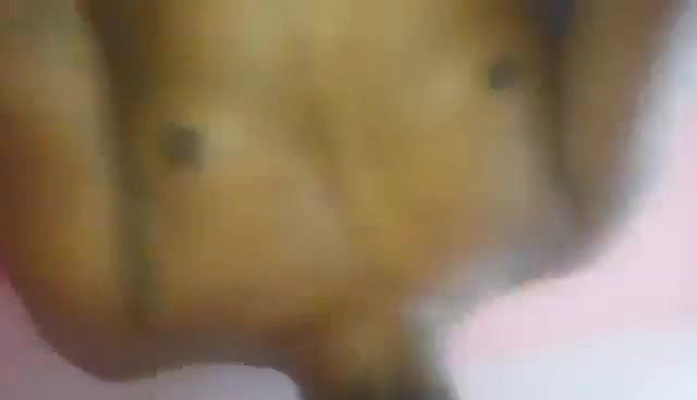 desi bhabi pussy fucking by Devar homemade sex