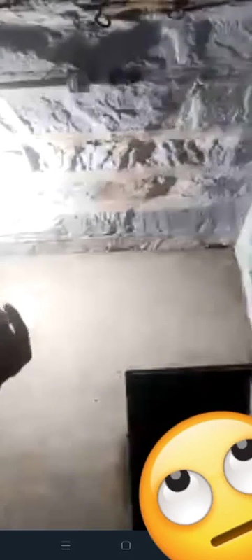 GF showing boobs on WhatsApp Bengali sex chat