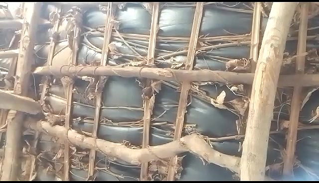 sleeping village wife under boobs show viral MMS