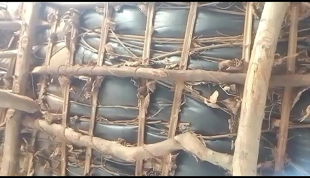 sleeping village wife under boobs show viral MMS