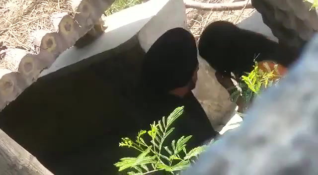 Punjabi girl outdoor sex viral hidden cam