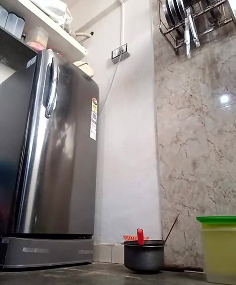 Desi Prince pussy show