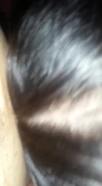 milky big boobs bhabhi sucking dick like pro