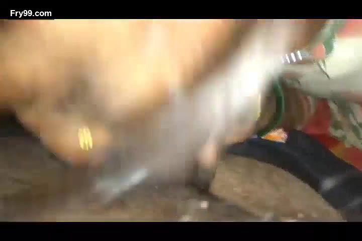 Chandigarh GF Sucking Cock