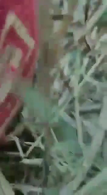 khule mein gf ko choda