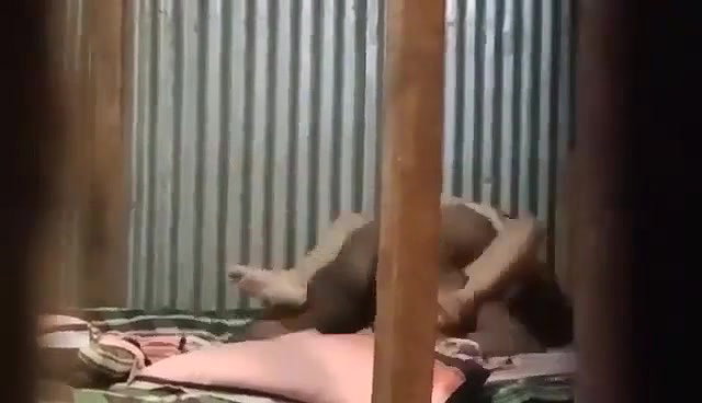 Bangladeshi Lovers Fucking Hidden Sex Videos