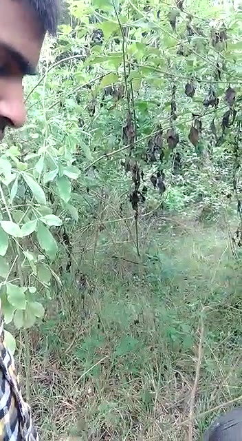 young maid xxx indian outdoor blowjob viral show