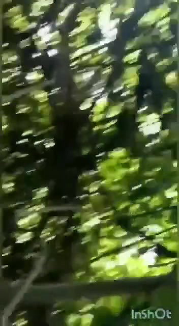Kannur mallu college girl viral outdoor sex video