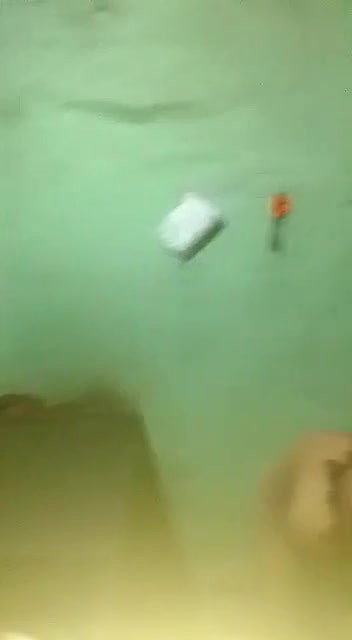 Odia call girl blowjob in standing position