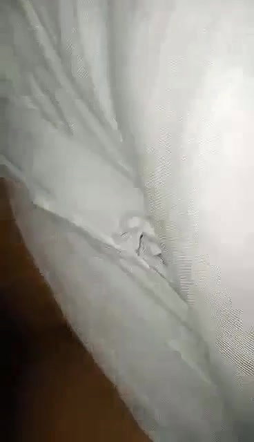 Bengali boudi first time sex video with lover