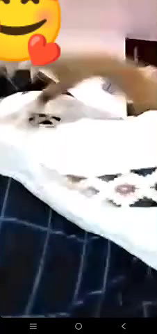 Desi Bhabhi Shows Big Boobs And Pussy Viral Clip