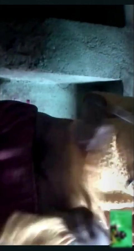 unseen desi girl showing big boobs and pussy