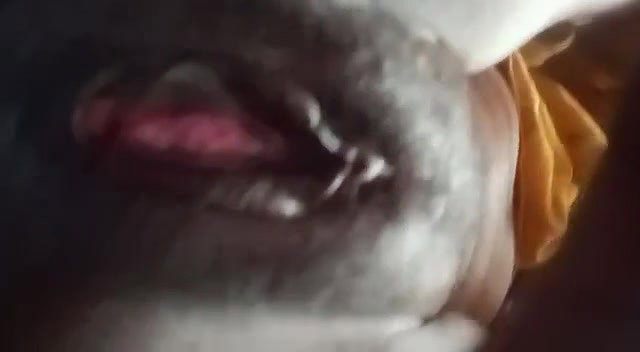 horny bhabhi showing pink vagina new mms video