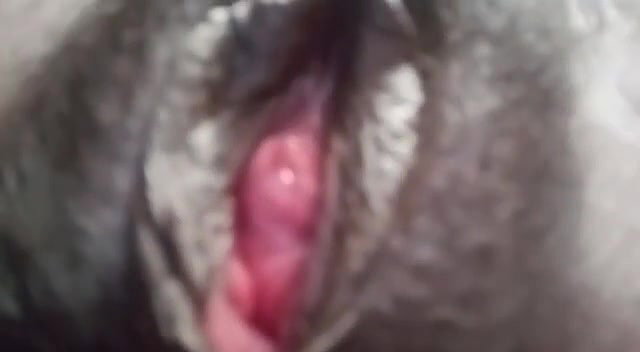 horny bhabhi showing pink vagina new mms video